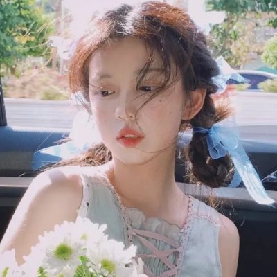 布里叶女士 海报